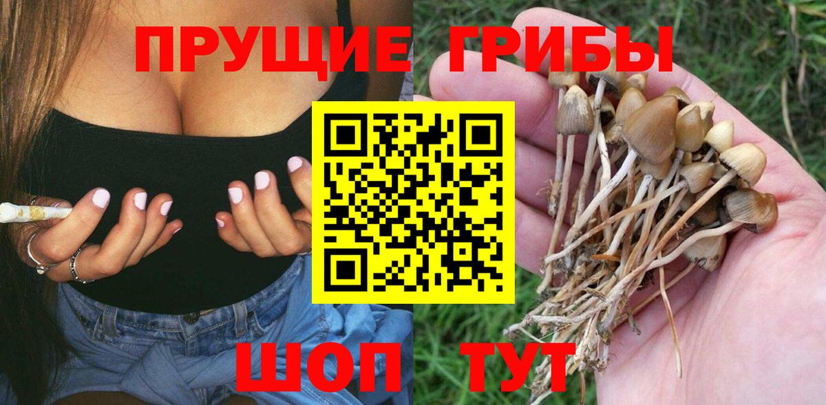 Псилоцибиновые грибы ЛСД Артёмовский