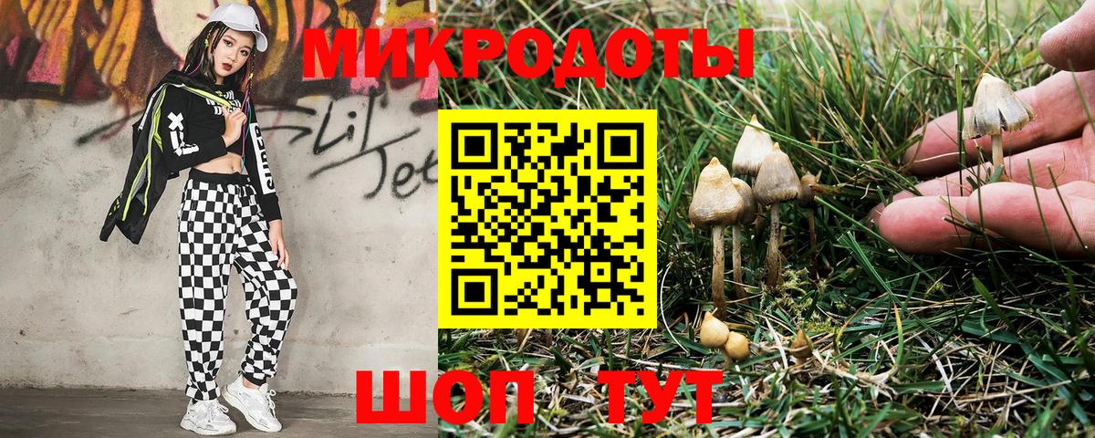 Артёмовский  Галлюциногенные грибы Psilocybine cubensis  Вход с VPN 